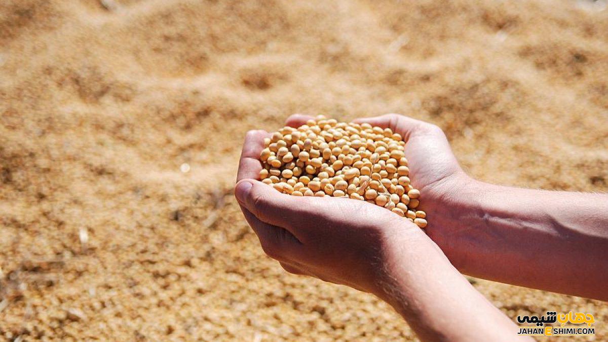 کنجاله سویا چیست؟ قیمت خرید و فروش و فواید تغذیه ای آن