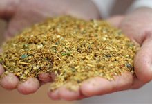 کنجاله کنجد چیست؟ فواید و قیمت خرید و فروش