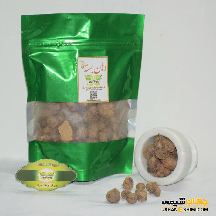 فواید و عوارض گیاه قدومه شیرازی چیست؟