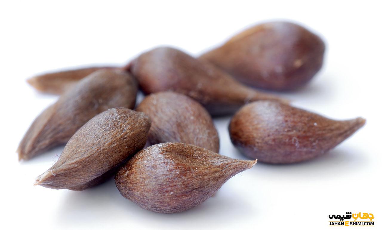 روغن سیب چیست ؟ چه خواص و کاربرد دارویی دارد؟