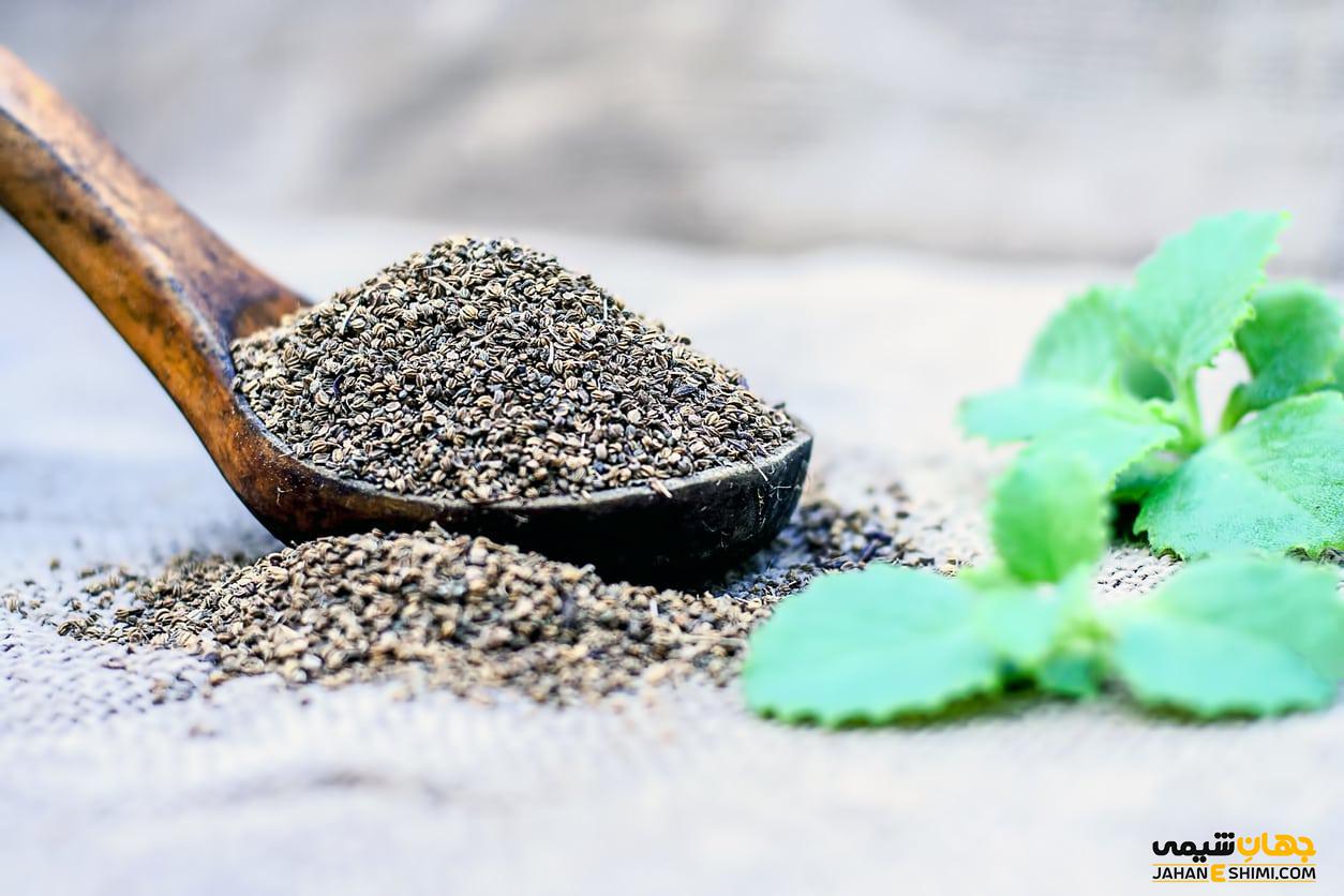 فواید و عوارض مصرف دانه و گیاه زنیان (انیسون تلخ) چیست ؟