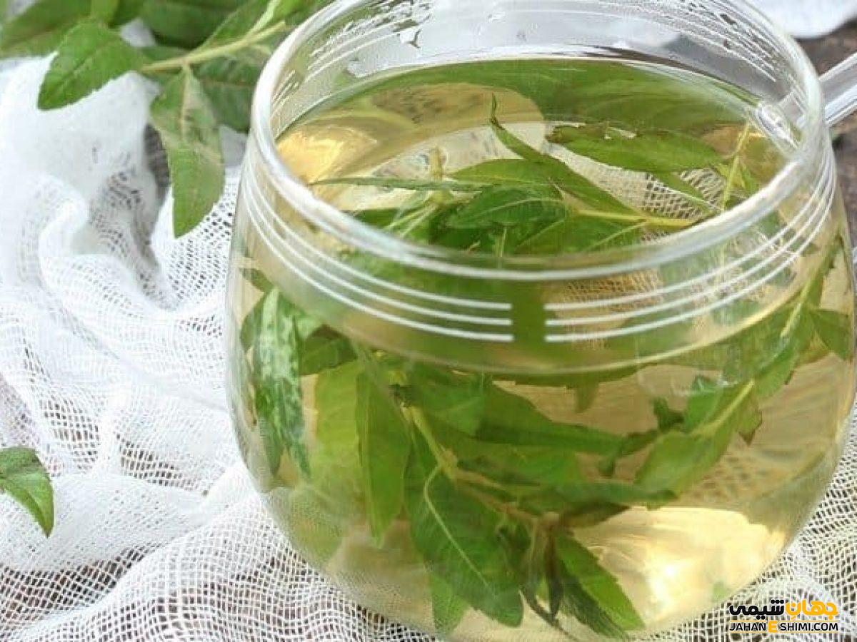 فواید و خواص دمنوش مناسب بلغمی ها چیست ؟