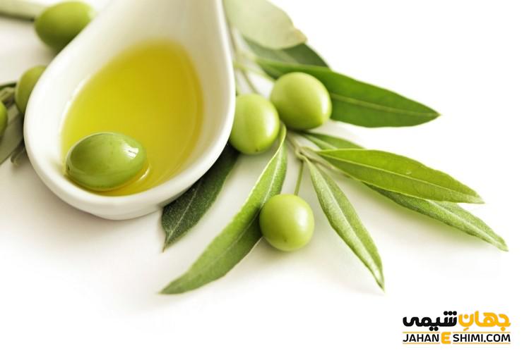 فواید و خواص فوق العاده برگ زیتون برای سلامتی چیست؟