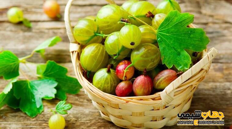 پودر گیاه آمله چیست از فواید و خواص آن چه می دانید؟