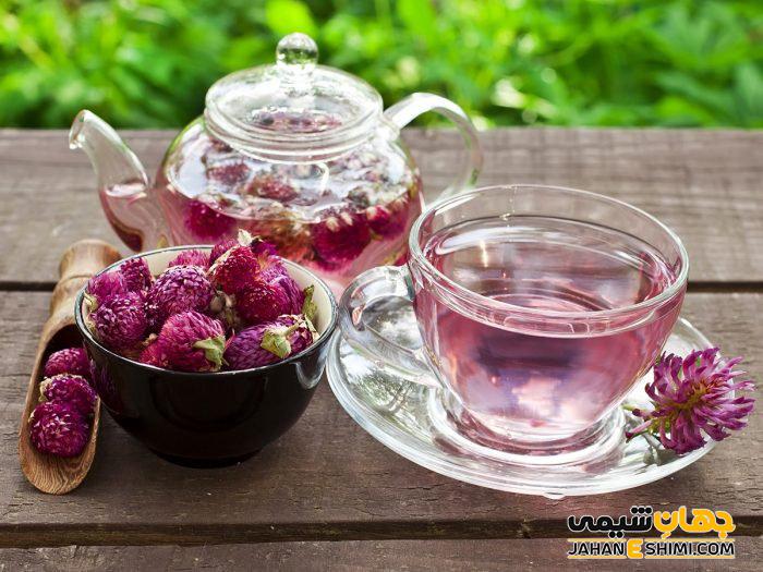 دمنوش گیاهی شبدر قرمز چیست؟ فواید و خواص و طرز تهیه آن