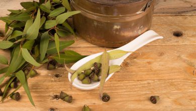 دمنوش گیاهی اکالیپتوس چیست؟ فواید و خواص و طرز تهیه آن