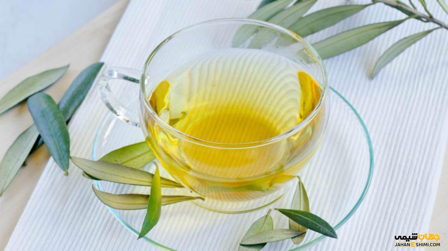 فواید و خواص فوق العاده برگ زیتون برای سلامتی چیست؟
