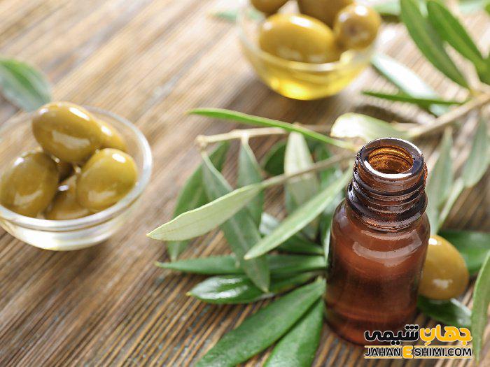 فواید و خواص فوق العاده برگ زیتون برای سلامتی چیست؟