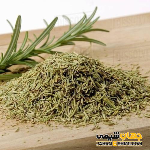 از فواید فوق العاده و عوارض گیاه رزماری چه می دانید؟