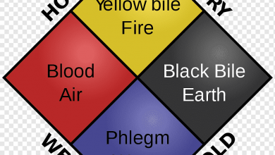 انواع طبع ( سرد و گرم و معتدل ) و تفاوت های آن را بشناسید!