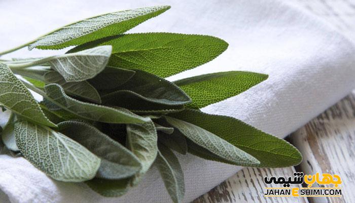 خواص و فواید عرق مریم گلی چیست؟