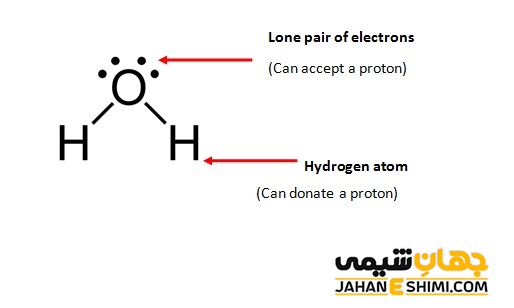 مولکول آب آمفوتر