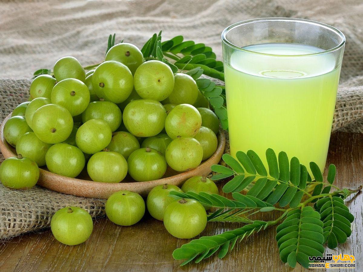 پودر گیاه آمله چیست از فواید و خواص آن چه می دانید؟