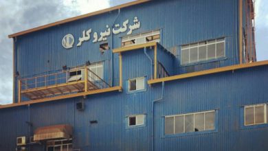 کلر ایرانی نیرو کلر – ویژگی ، کاربرد و قیمت خرید و فروش آن