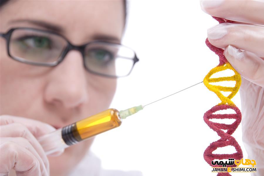 مهندسی ژنتیک چیست؟ - کاربرد و تکنیک های مختلف آن