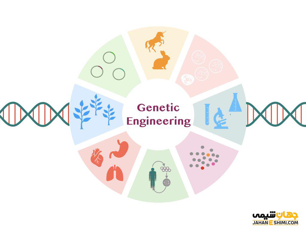 کاربرد مهندسی ژنتیک