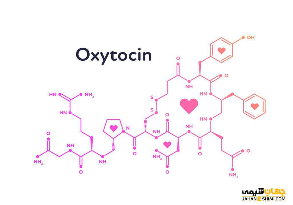اکسی توسین چیست؟ ارتباط اکسی توسین با عشق و احساس