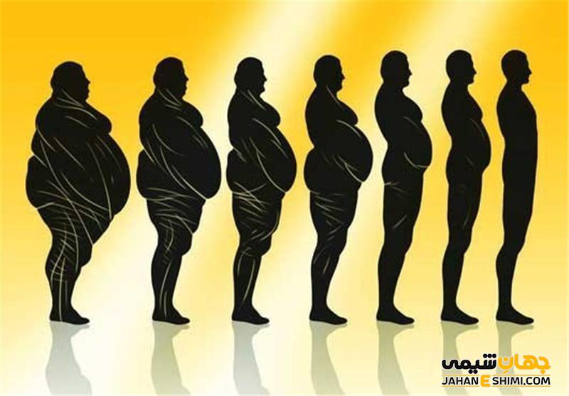 پودرلاغری و چاقی رویال چیست و قیمت پودر رویال چقدراست؟