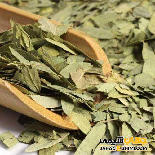 برگ سنا – برگ سنا چیست و چه فوایدی دارد؟