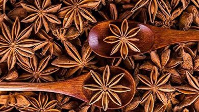 انیسون ستاره ای چیست؟ فواید و عوارض مصرف آن