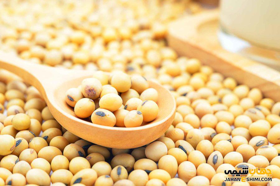 پروتئین گیاهی (Herbal protein) چیست؟ منابع پروتئین گیاهی
