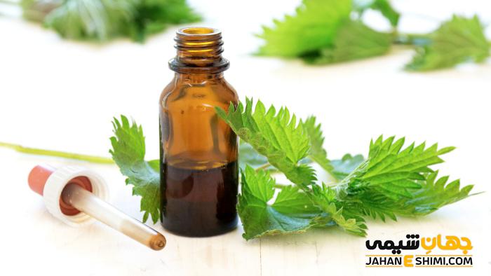 گیاه گزنه چیست؟ خواص و عوارض دارویی آن