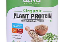 پروتئین گیاهی (Herbal protein) چیست؟ منابع پروتئین گیاهی