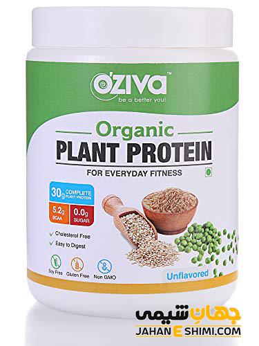 پروتئین گیاهی (Herbal protein) چیست؟ منابع پروتئین گیاهی