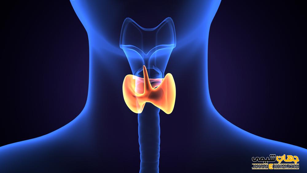 تنظیم کلسیم خون توسط کدام هورمونها انجام میشود؟
