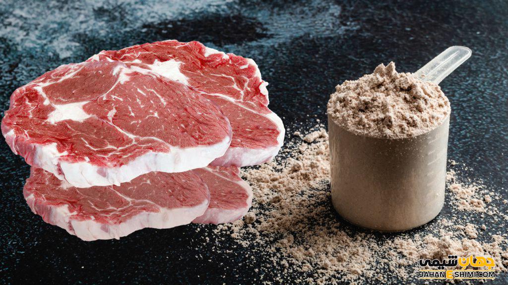 پروتئین بیف (Beef Protein) چیست؟ مزایا و موارد مصرف آن