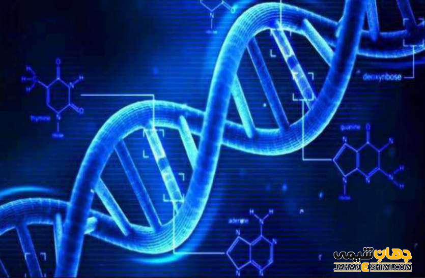تفاوت DNA و RNA چیست؟ مقایسه ساختار و عملکرد آنها