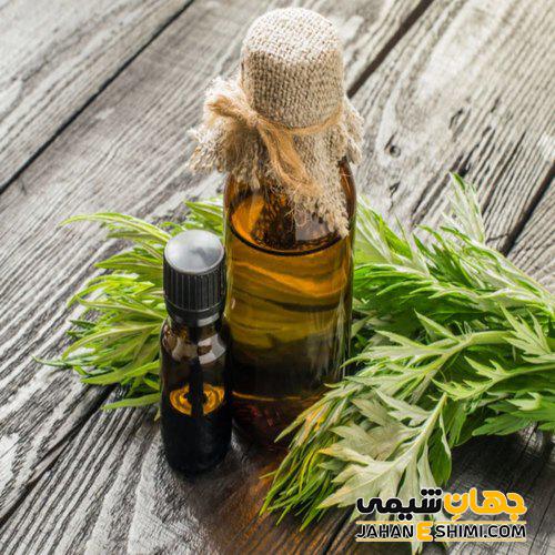 گیاه گندواش چیست؟ خواص و عوارض مصرف آن