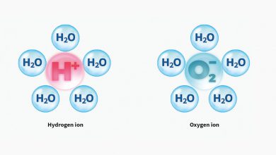 یون چیست و یونها چگونه تشکیل می شوند؟