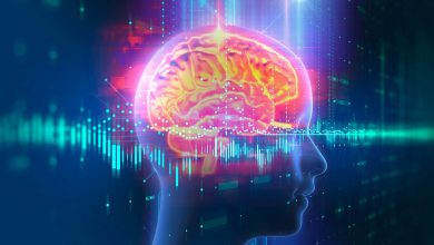 نوروساینس چیست و چه اهمیتی برای انسان دارد؟