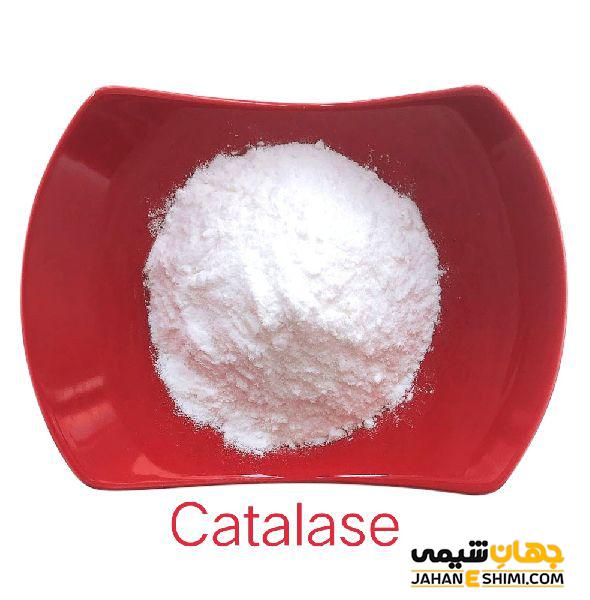 آنزیم کاتالاز چیست از کاربردهای صنعتی آن چه می دانید؟