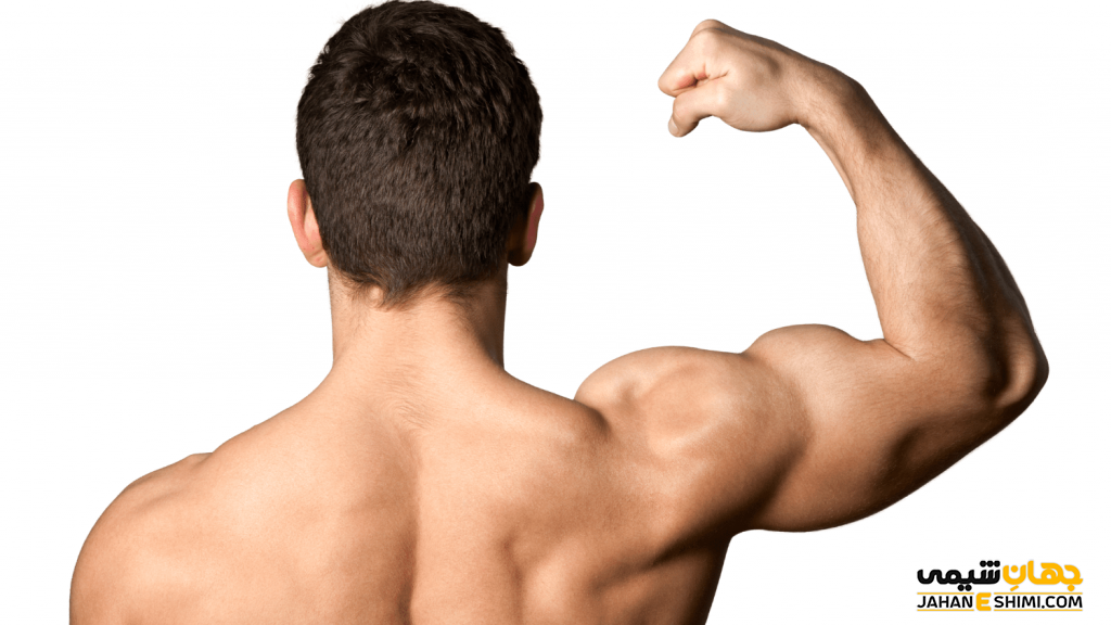 بی سی ای ای (BCAA) چیست؟ مزایا و عوارض آن