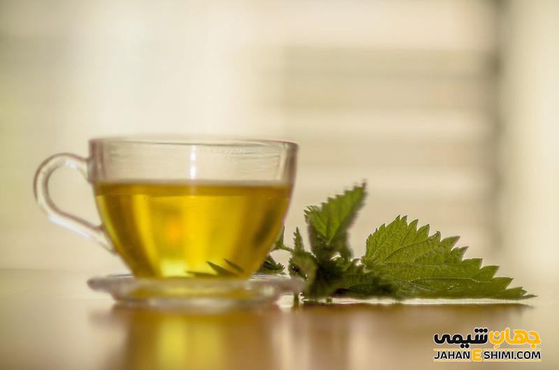 گیاه گزنه چیست؟ خواص و عوارض دارویی آن