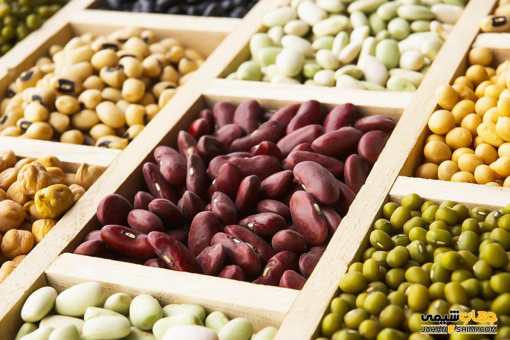 پروتئین گیاهی (Herbal protein) چیست؟ منابع پروتئین گیاهی