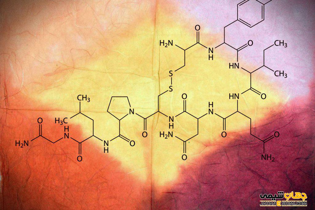 اکسی توسین چیست؟ ارتباط اکسی توسین با عشق و احساس