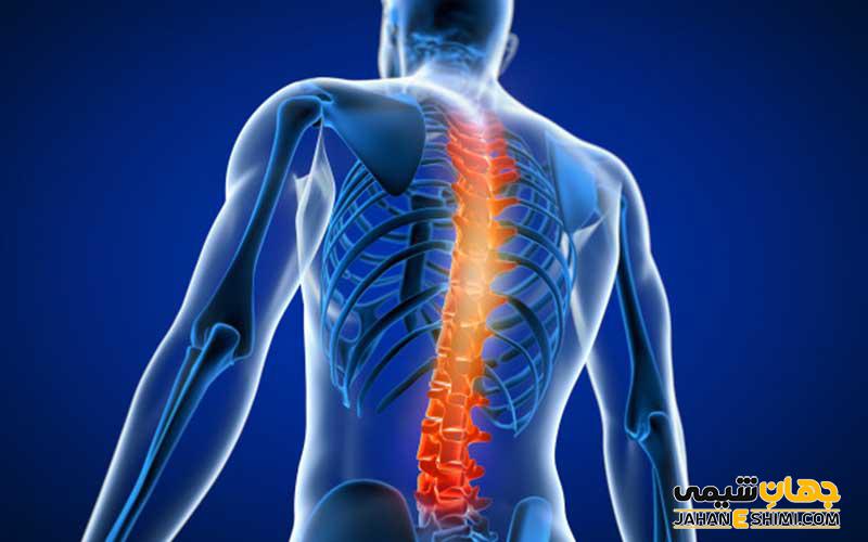 نخاع چیست؟ ساختار، عملکرد و آسیب نخاع