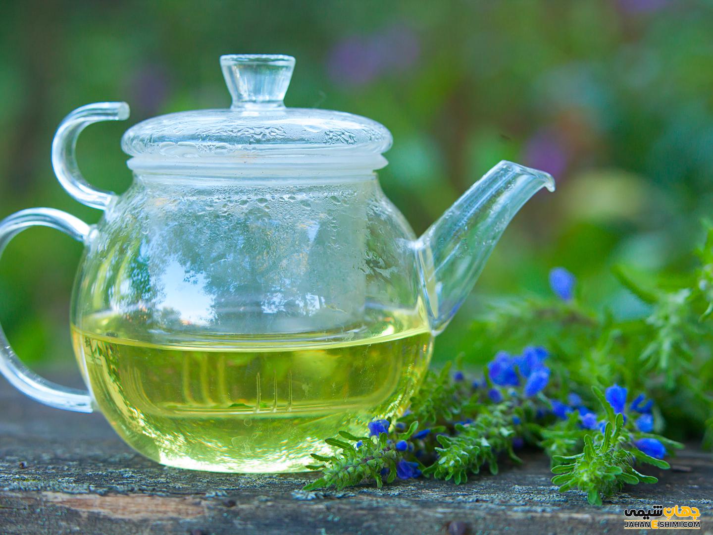 دمنوش زوفا – گیاه زوفا چیست و چه فوایدی دارد؟