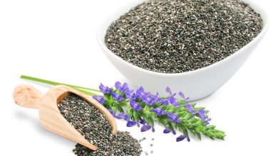 دانه چیا چیا سید - خواص، فواید، کاربرد و قیمت خرید و فروش