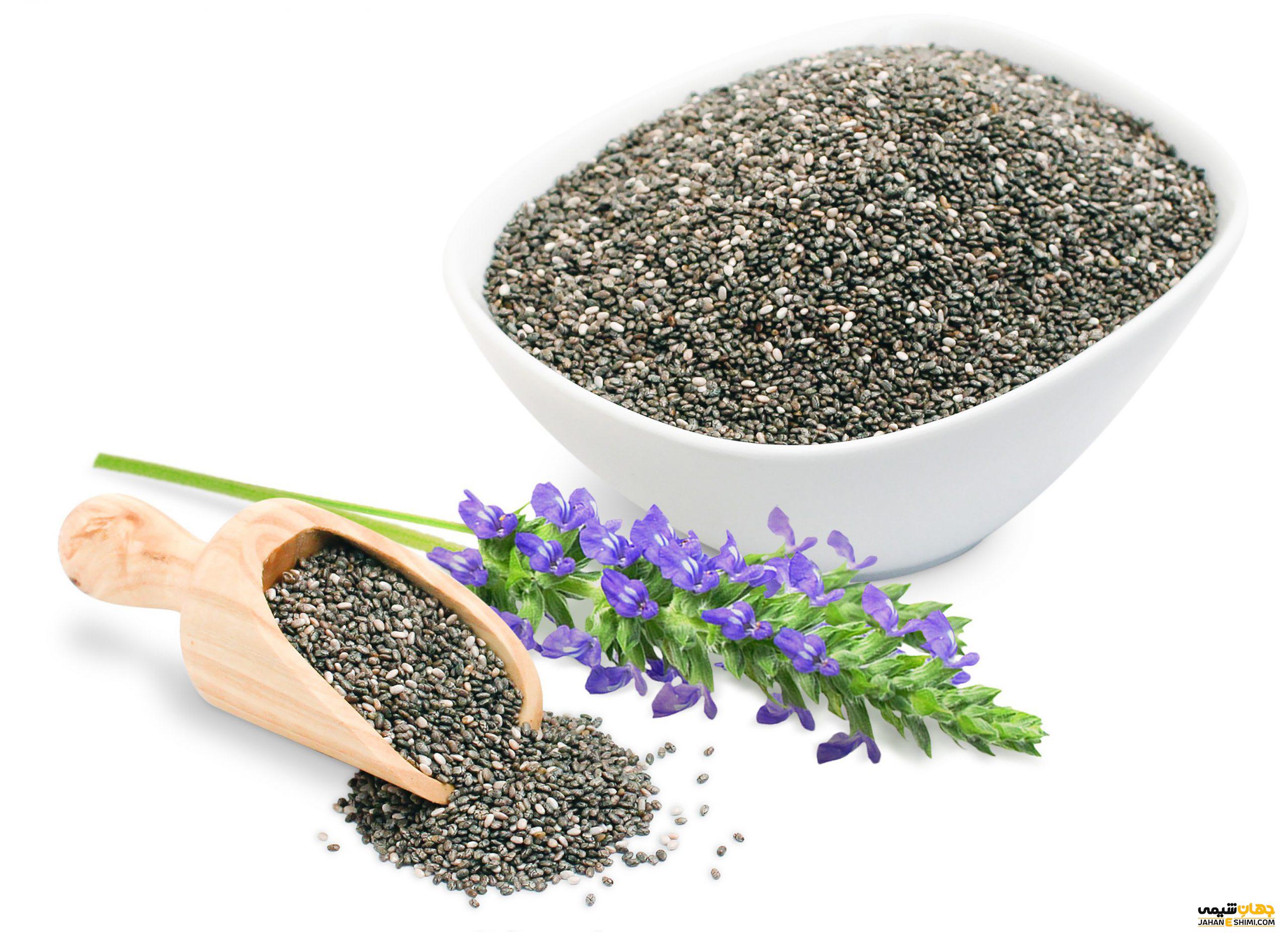 دانه چیا چیا سید - خواص، فواید، کاربرد و قیمت خرید و فروش