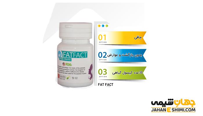 قرص چاقی فت فکت چیست و قیمت خرید آن چقدراست؟