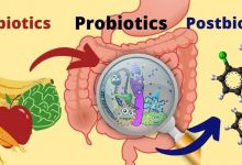 پری بیوتیک، پروبیوتیک و پست بیوتیک چه هستند و تفاوت آنها چیست؟