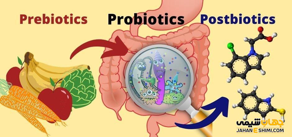 پری بیوتیک، پروبیوتیک و پست بیوتیک چه هستند و تفاوت آنها چیست؟