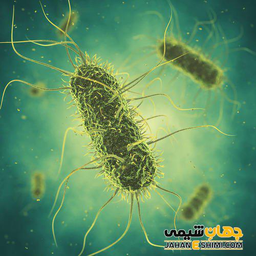 کود زیستی یا بیولوژیک چیست؟ فواید آن ها را بدانید