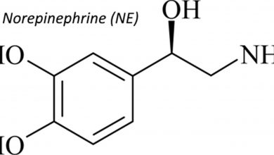 نوراپی نفرین چیست و چه نقشی در بدن دارد؟