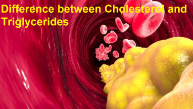 تفاوت کلسترول و تری گلیسیرید چیست؟