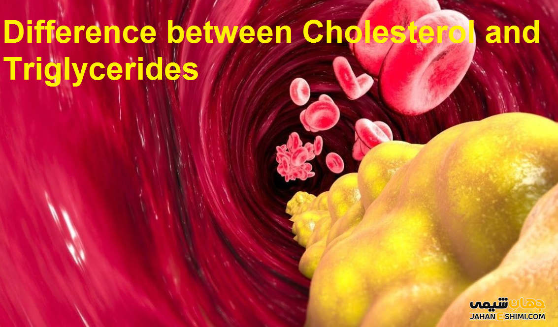 تفاوت کلسترول و تری گلیسیرید چیست؟